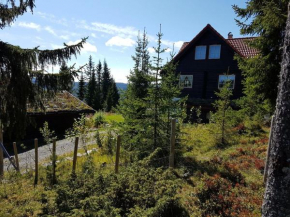 Casa San Gottardo - The Forest House, Etnedal